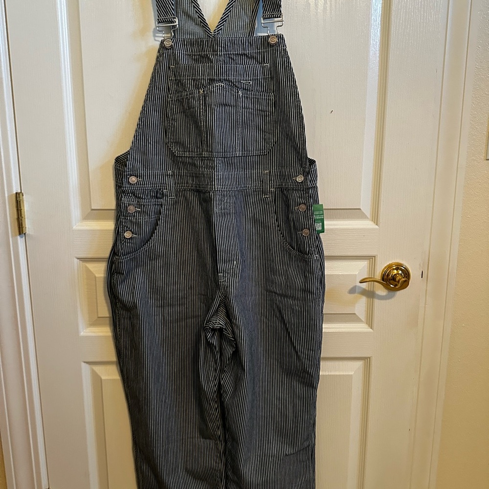 GAP Women's Pinstripe Denim Overalls